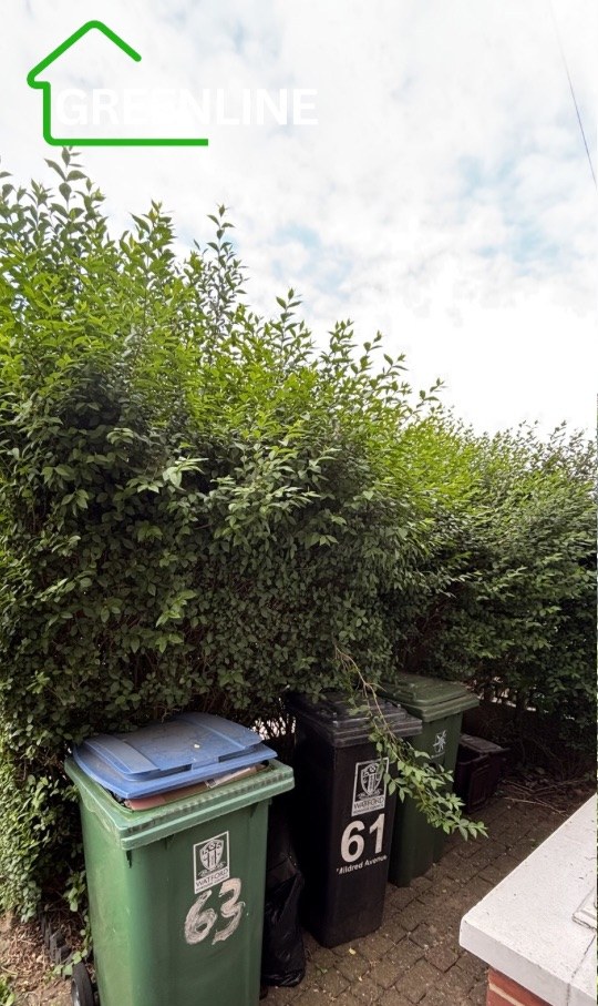 Overgrown Boundary Cut Back — before