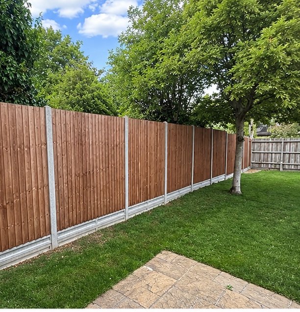 Ivy Strip & New Fencing — after