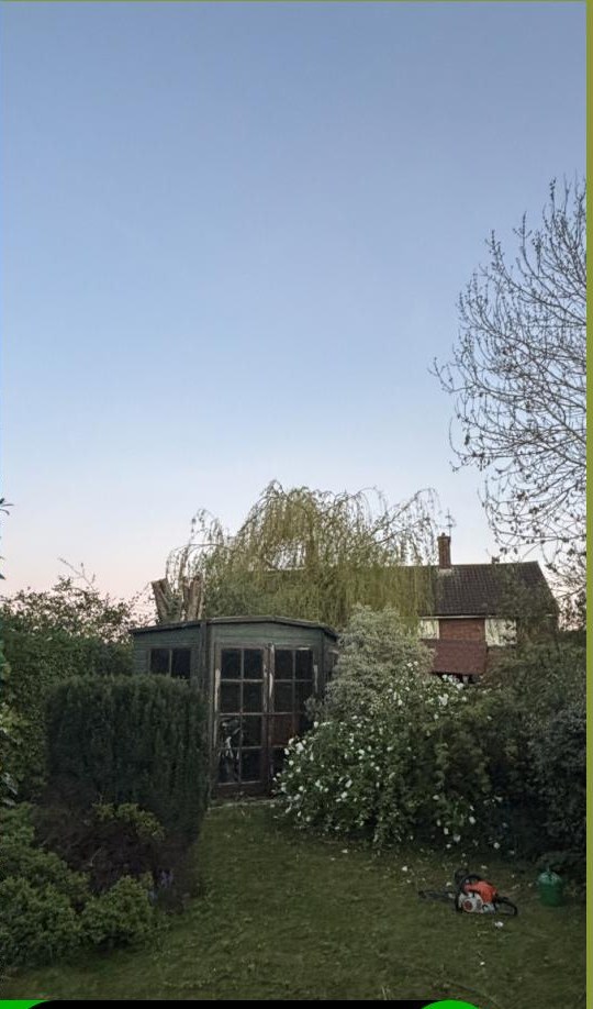 Tree Pruning — after