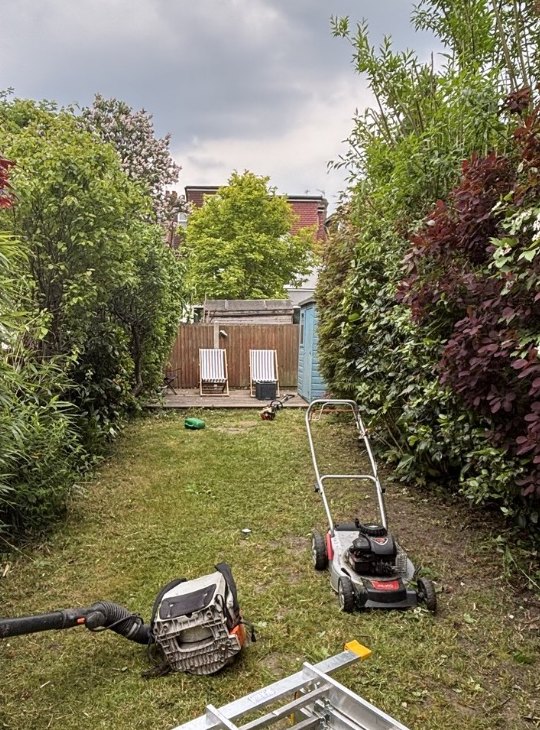 Rear Garden Cut Back — after