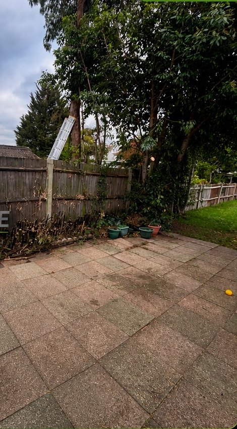 Overgrown Patio Reclaimed — after