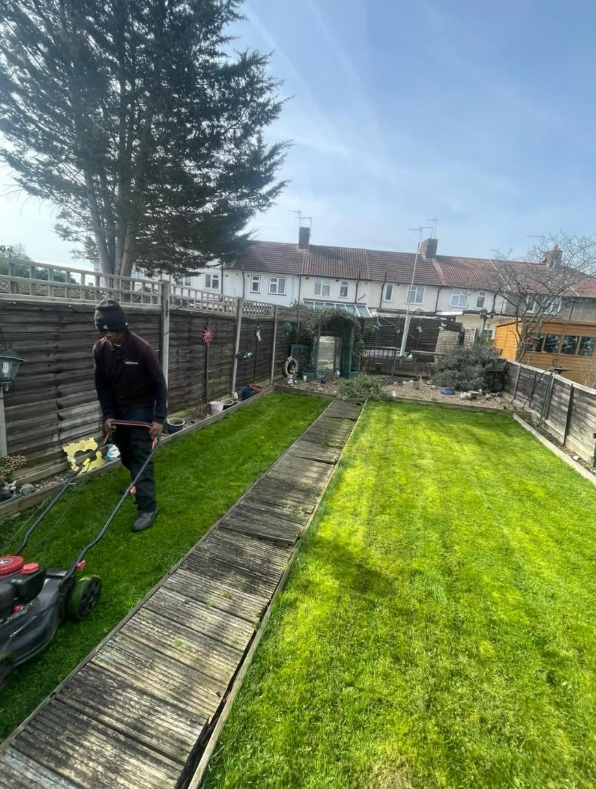 Freshly striped lawn after mowing