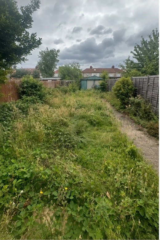 Overgrown Lawn Recovery — before