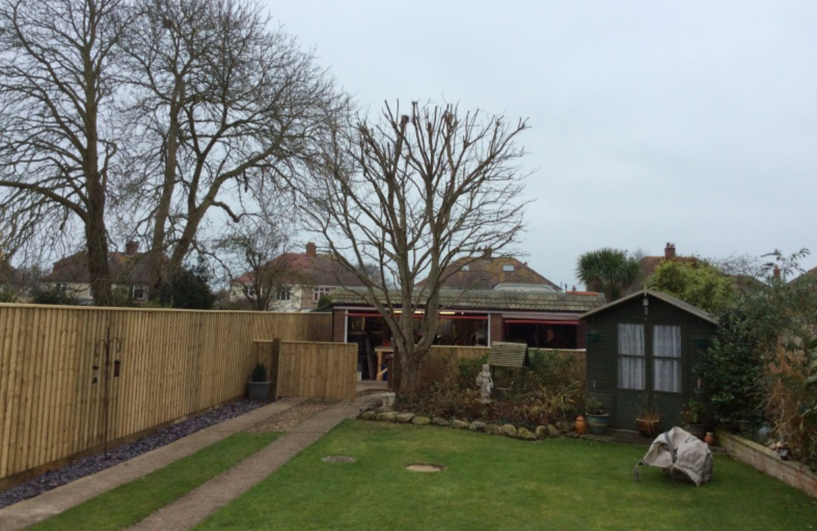 New fence panels installed along a boundary