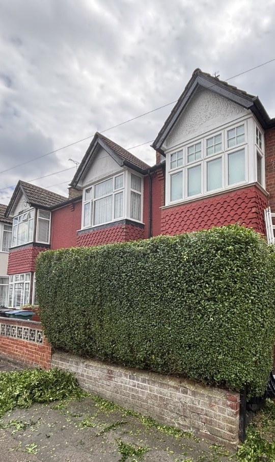 Front Hedge Reshape — after